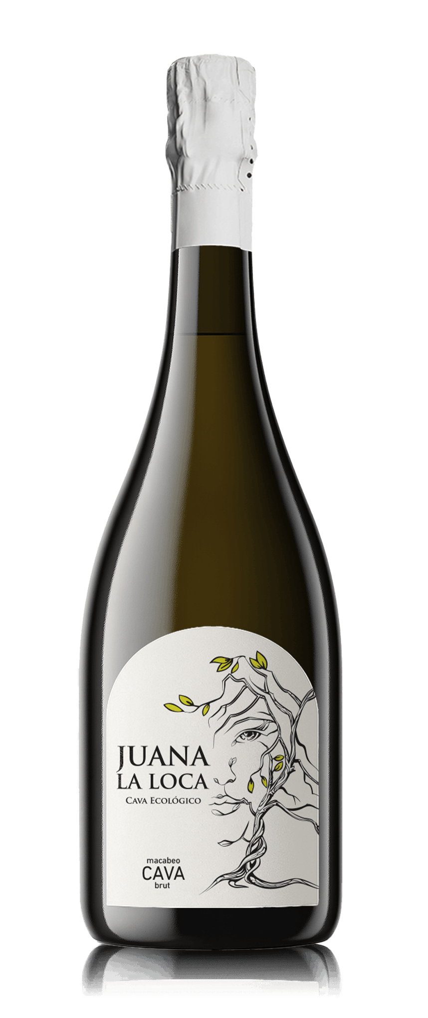 JUANA-2026cavamin copia